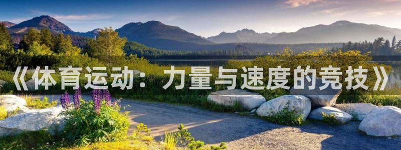 《体育运动：力量与速度的竞技》