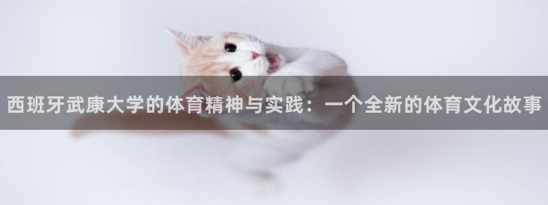 西班牙武康大学的体育精神与实践：一个全新的体育文化故事