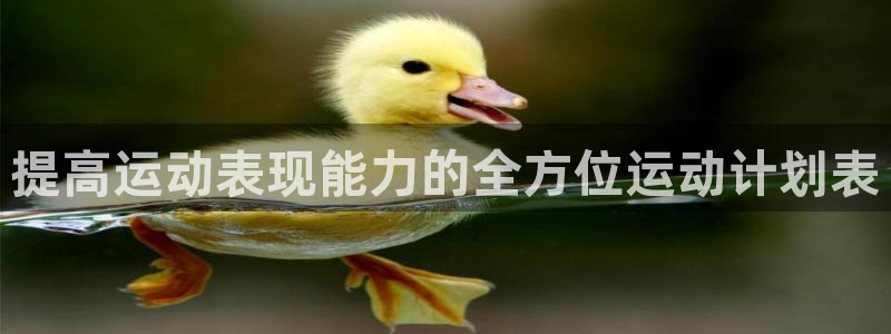 提高运动表现能力的全方位运动计划表