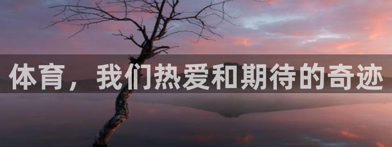 体育，我们热爱和期待的奇迹
